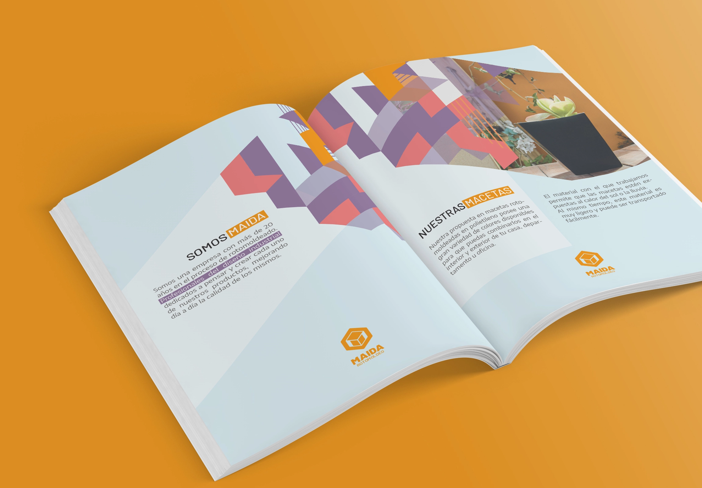 portada del trabajo de Maida Macetas