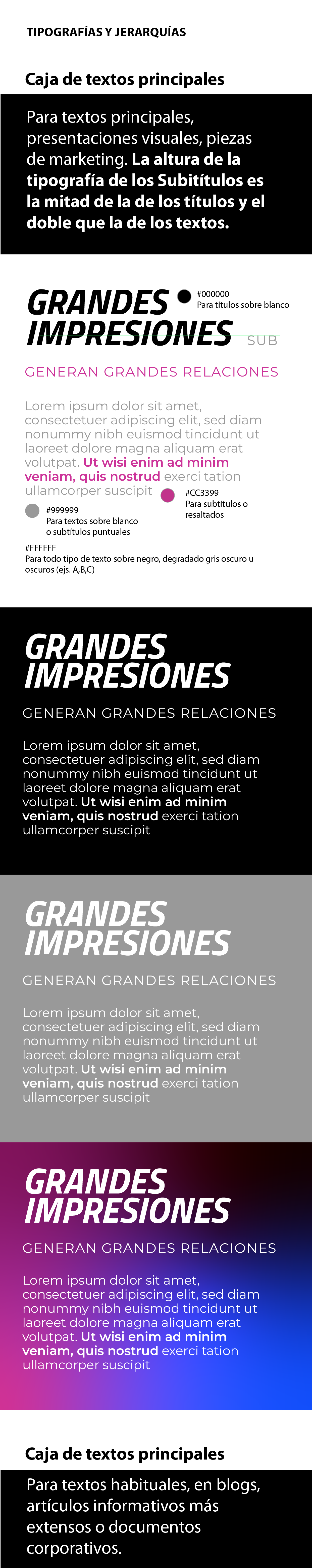 muestra dle proceso y selección de las tipografías para la marca Chapp